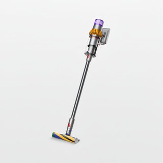 ���� ��� ������ Dyson V15 Detect �� ����� ����� ������ �����
