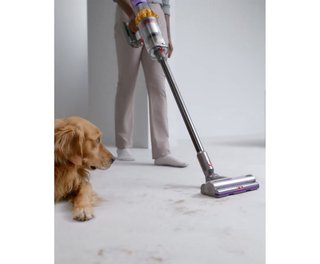 ���� ��� ������ Dyson V15 Detect �� ����� ����� ������ �����