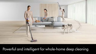 ���� ��� ������ Dyson V15 Detect �� ����� ����� ������ �����